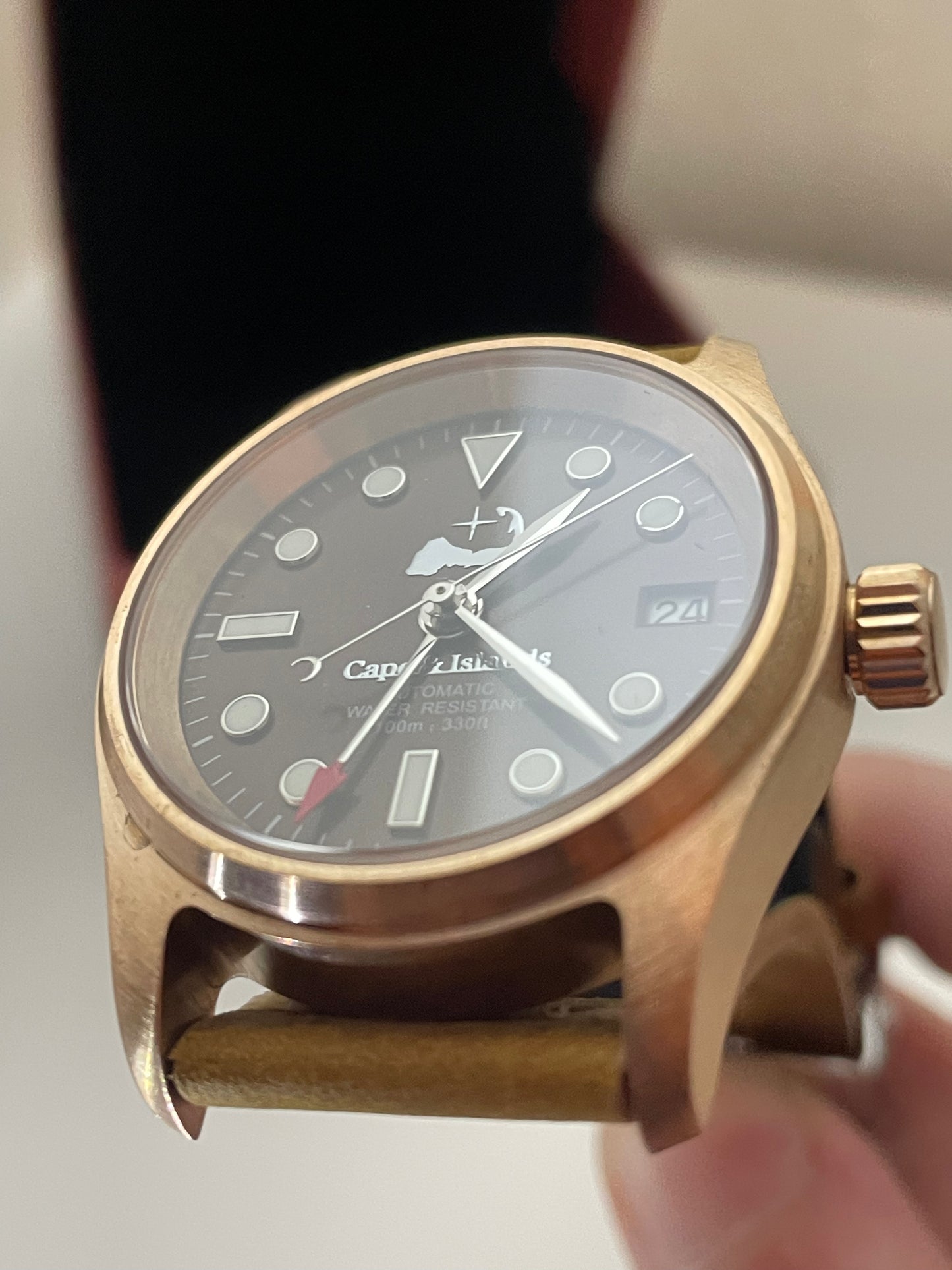 ‘Piping Plover GMT’ by Cape & Islands Watch Co.